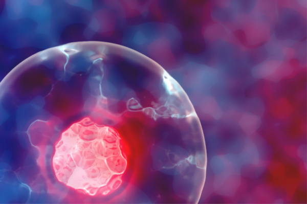 New: NovoCyte Opteon Spectral Flow Cytometer Systems 3-5 Lasers - BioSPX